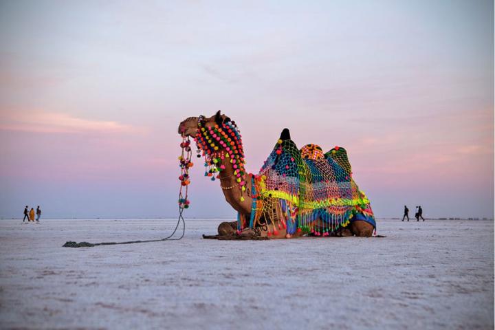 Rann of Kutch – The White Desert Festival