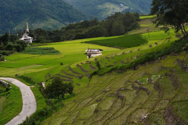 Ziro Valley, Arunachal Pradesh