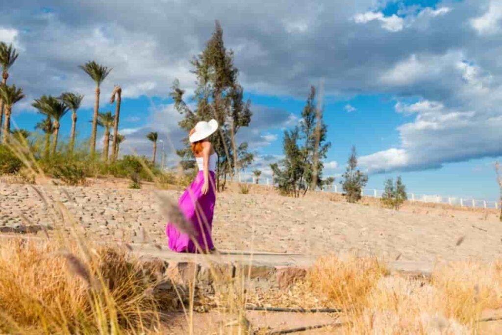 Exploring the Desert Oasis in Siwa, Egypt