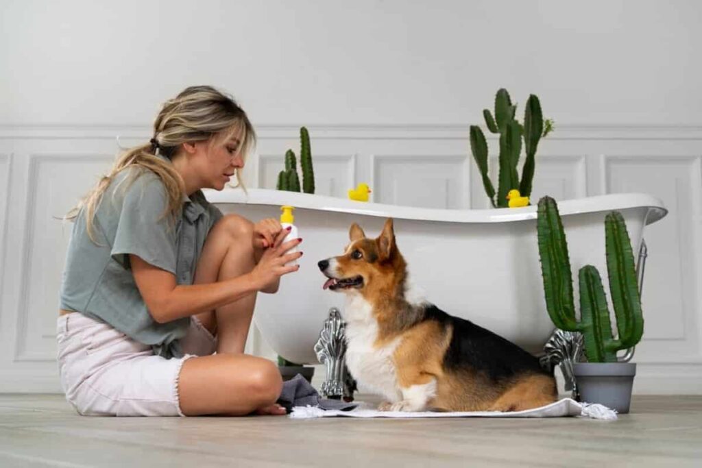 Must-Have Amenities in Pet-Friendly Best Resorts