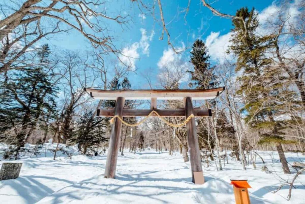 Snowy Serenity in Niseko, Japan